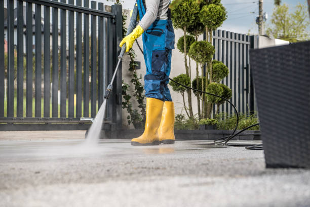 Best Dumpster Area Cleaning  in Farmer City, IL