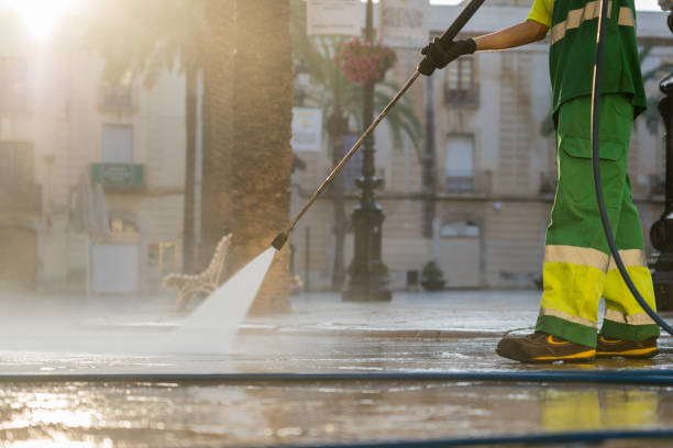 Best Warehouse Cleaning  in Farmer City, IL